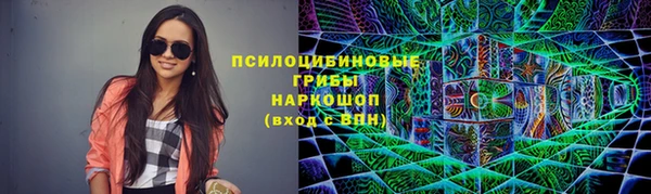 гидропоника Снежногорск