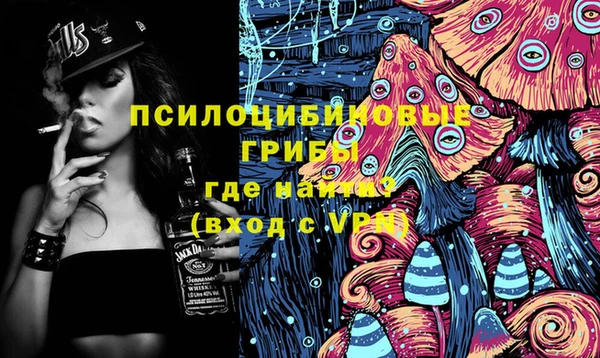 прущая мука Арсеньев